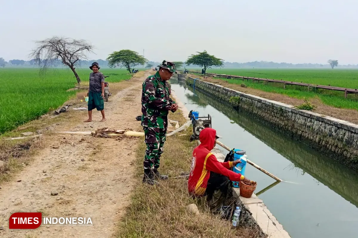 Debit Irigasi Menurun, Babinsa Dampingi Petani Majalengka Atur Distribusi Air Cegah Kekeringan