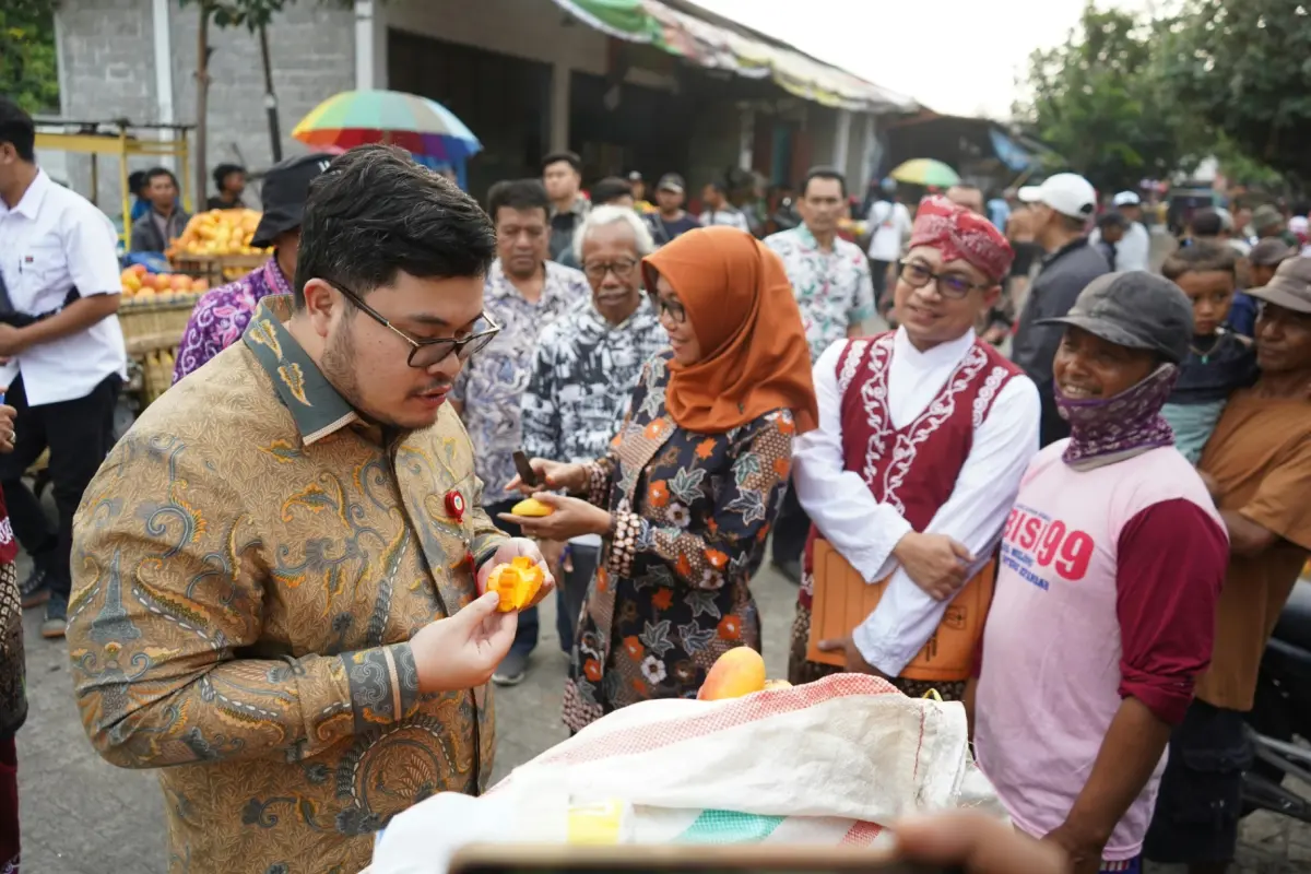 Mendapat Sertifikat IG, Mangga Podang Dijaga Populasi dan Kualitas Oleh Pemkab Kediri