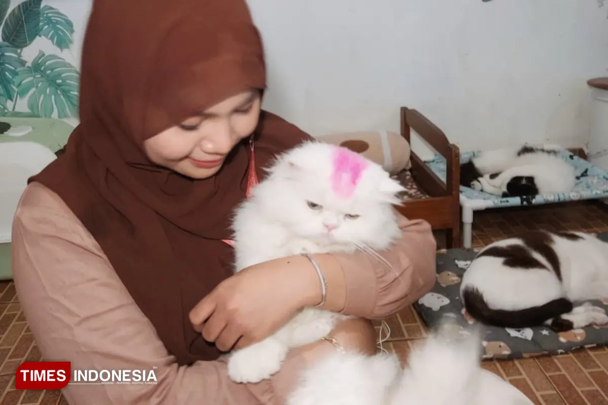 Lepas Penat di Meaw Cafe Malang, Terapi Kucing Ampuh Redakan Stres